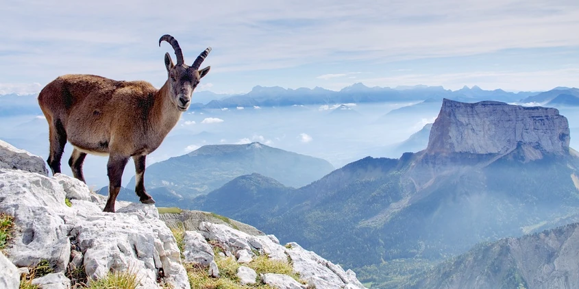 randonnée vtt chemin Vercors